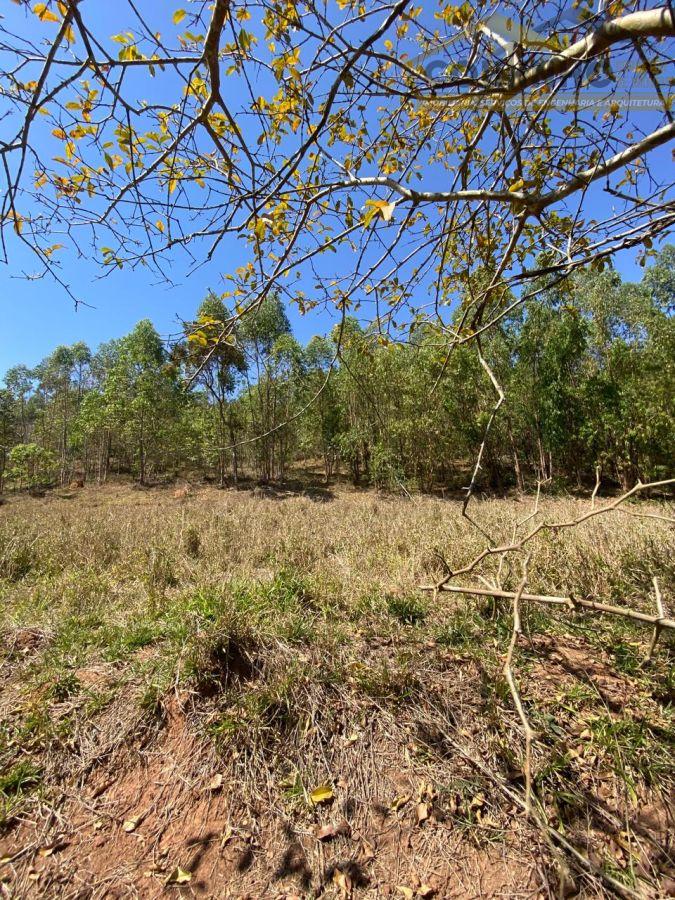 WhatsApp Image 2025-09-12 at 11.33.23 (6).jpeg